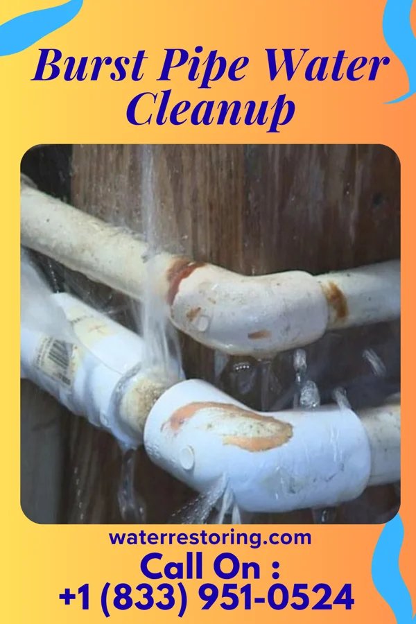 Burst Pipe Water Cleanup in Fort Polk South, LA