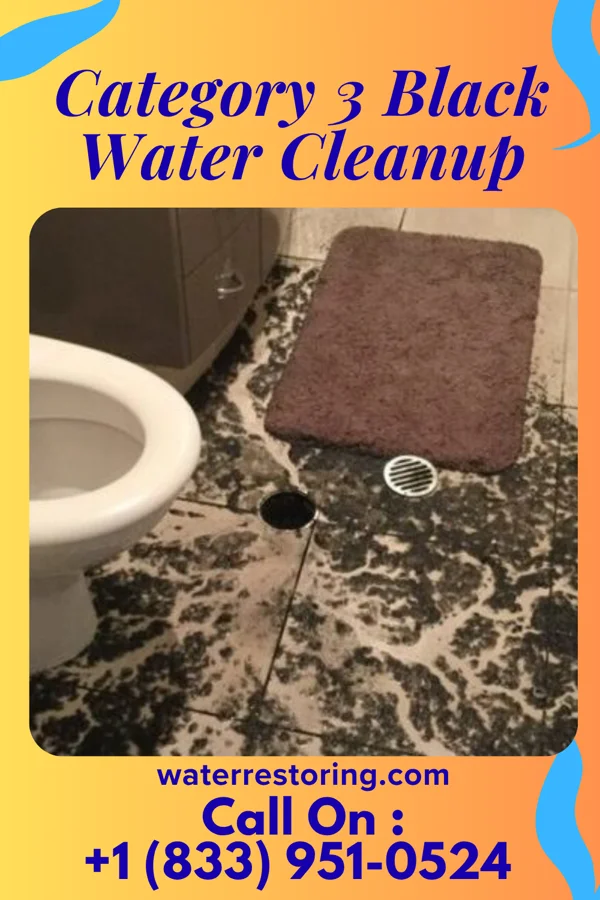 Category 3 Black Water Cleanup in Fort Polk South, LA