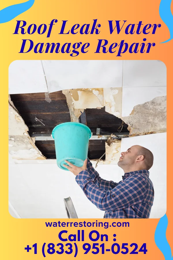 Roof Leak Water Damage Repair in Fort Polk South, LA